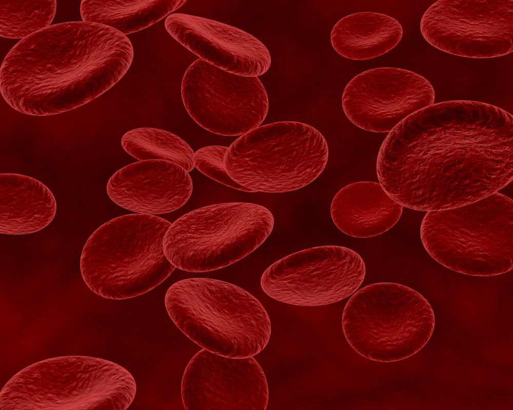 FEA Angiología y Cirugía vascular