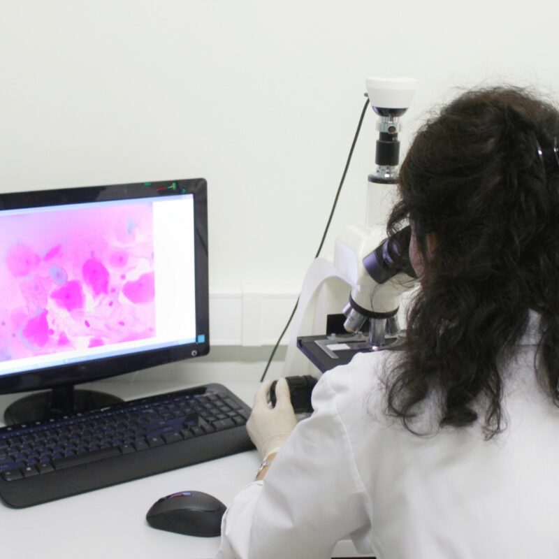 FEA Anatomía Patológica