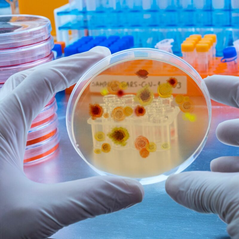 Técnico Especialista en Laboratorio de Diagnóstico Clínico y Biomédico